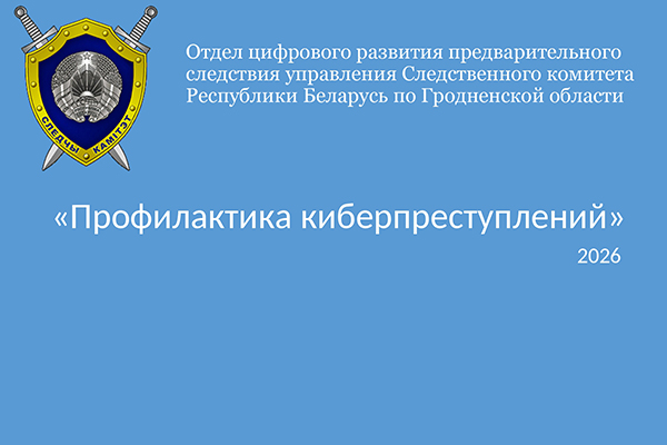 Профилактика киберпреступлений.